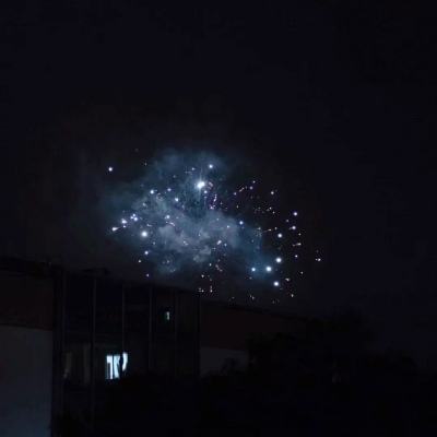 我的公主女友中文版下载