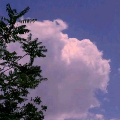 幻境缘百度版下载